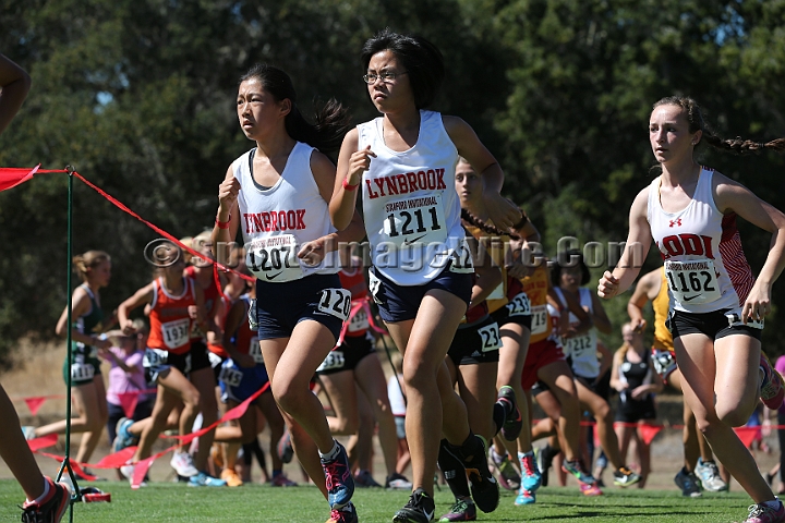 2015SIxcHSD2-157.JPG - 2015 Stanford Cross Country Invitational, September 26, Stanford Golf Course, Stanford, California.